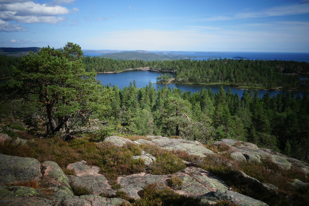 romantisk dejt västernorrland junsele träffa singlar