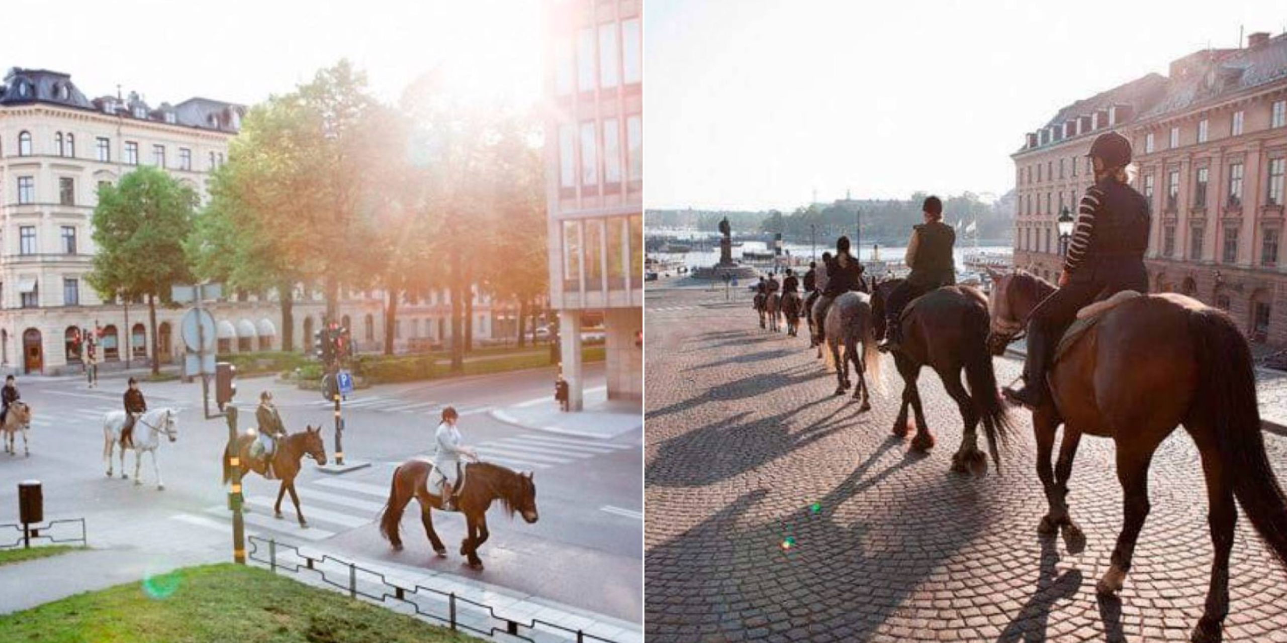 Gryningsritt i Stockholm med Häståkeriet