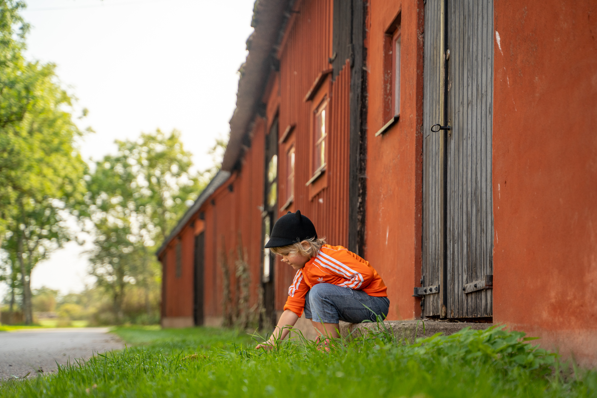 Sommarlov på Öland Himmelsberga