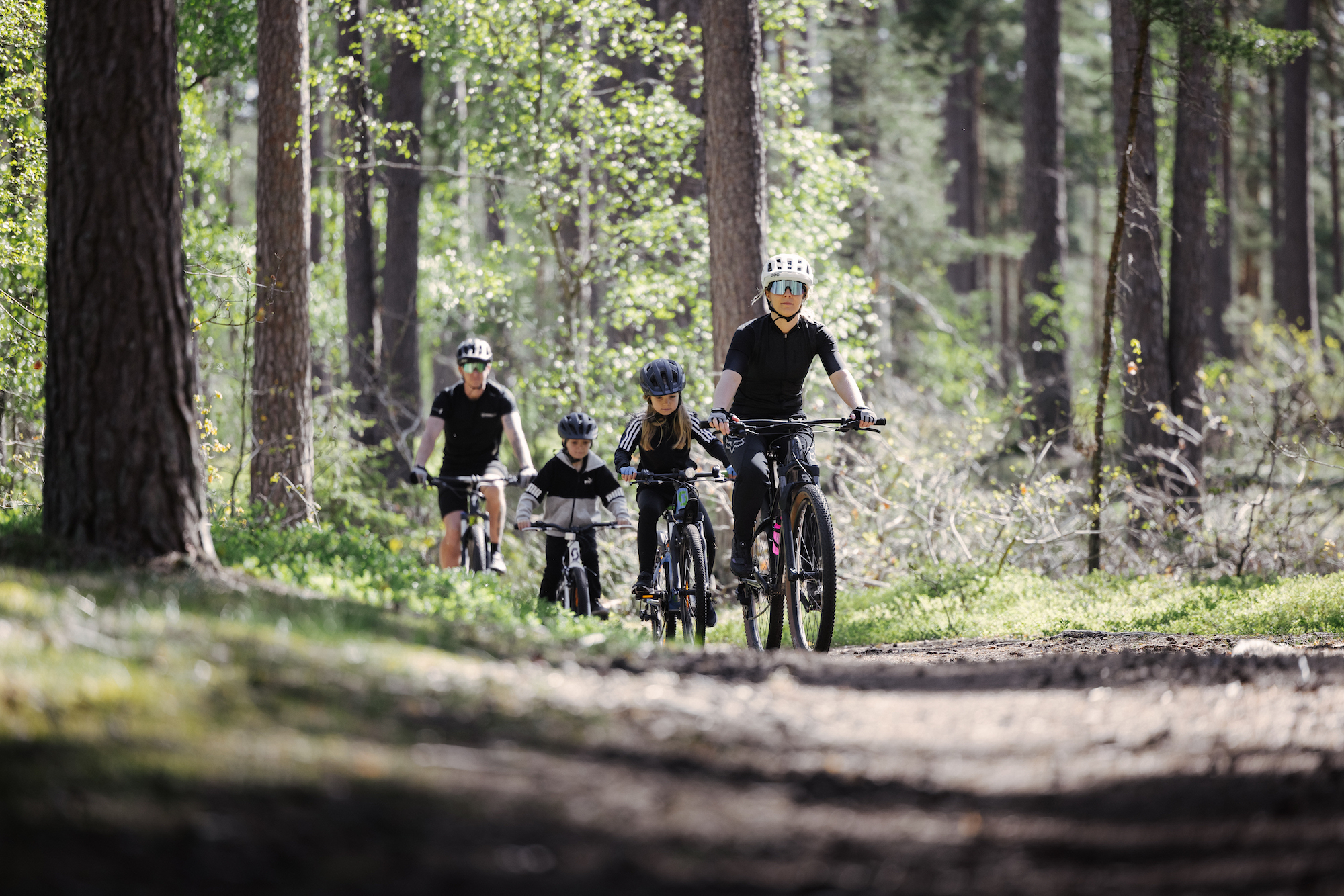 Sommarlov på Öland Rallaskogen