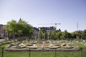 Sommar Norrköping Kaktusplanteringen