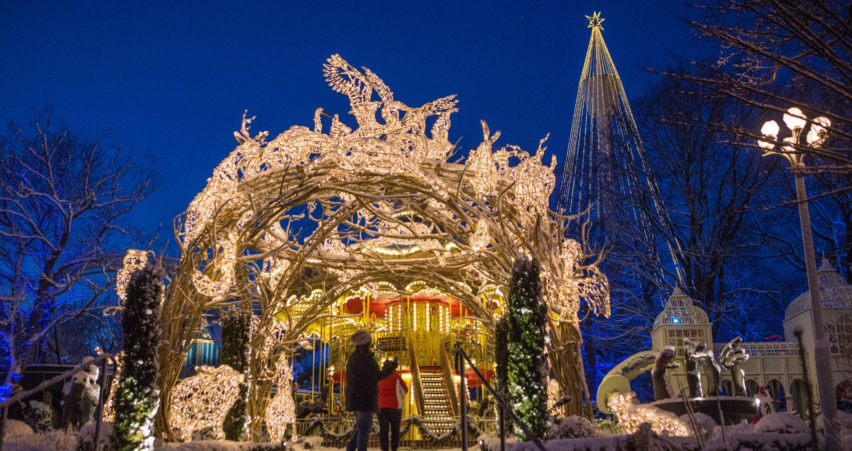 Vinter Liseberg