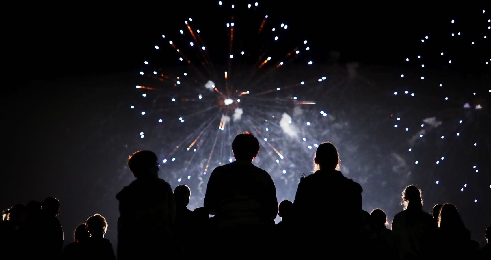 Nyår på Skansen – detta händer 2023