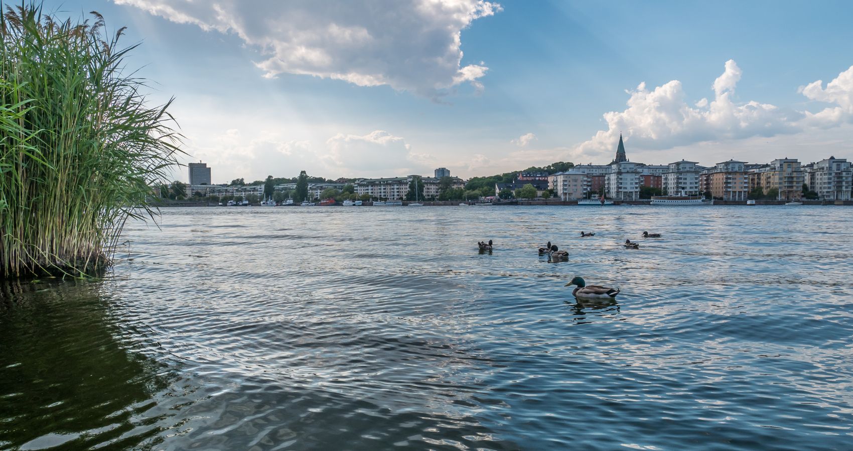 Hammarby Sjöstad