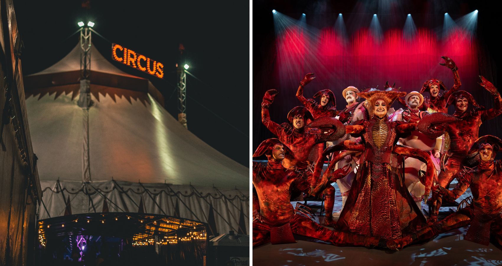 Musikal möter cirkus i nya konceptet Dreamland