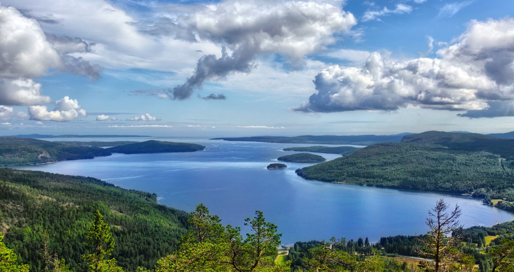 Presentkort på naturaktiviteter i Sverige – tips & inspiration