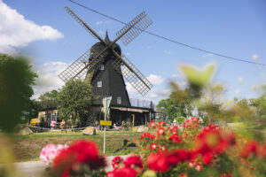 Sommar Öland kvarn