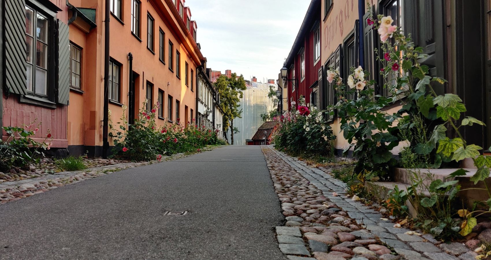 Guidad matvandring på Djurgården