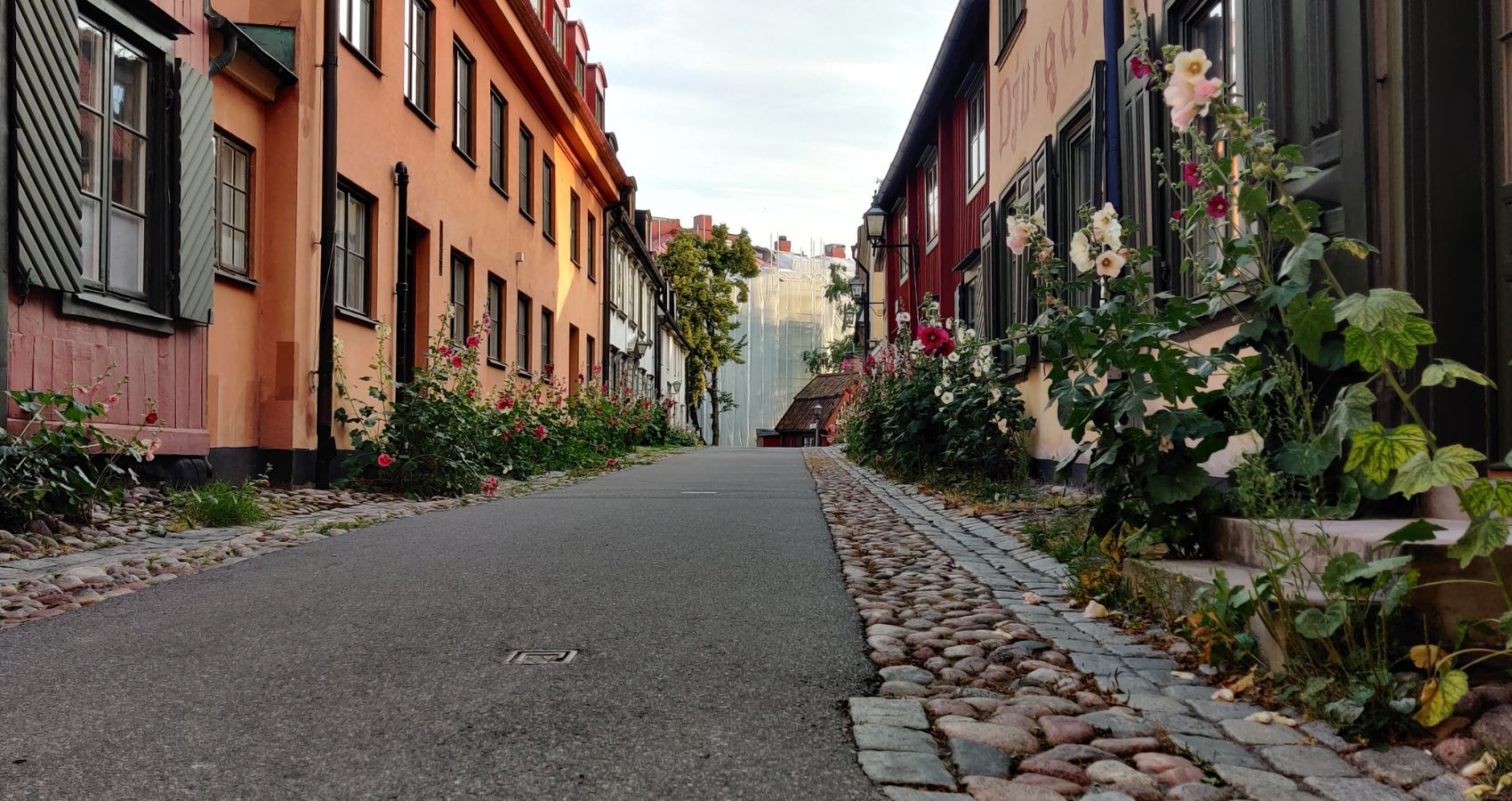 Matmilen Djurgården