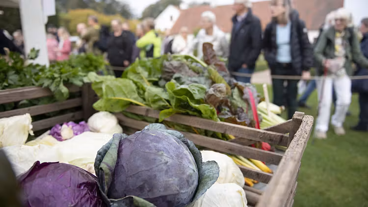 Mikaeli Market på Fredriksdal