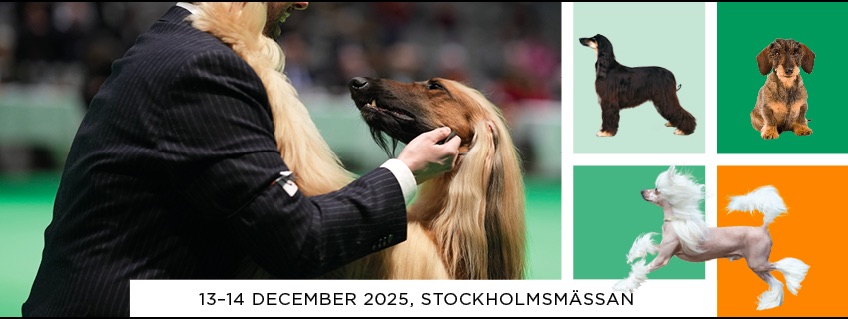 Stockholms Hundmässa 2025
