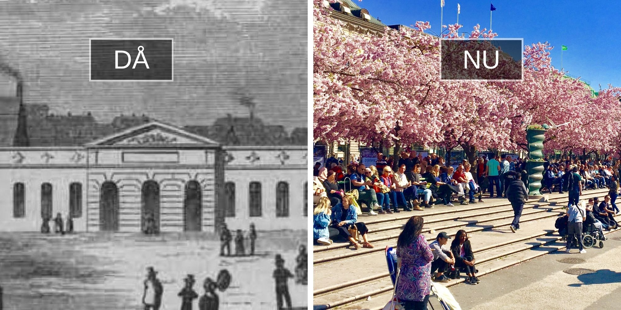 Kungsträdgårdens historia (2)