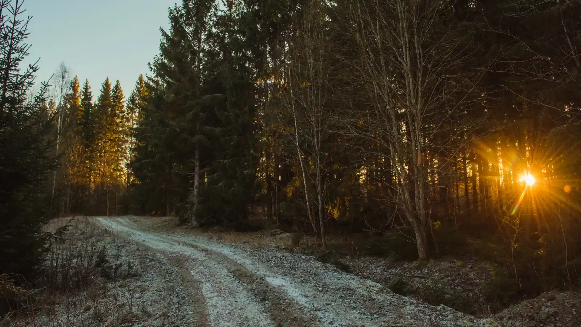 November