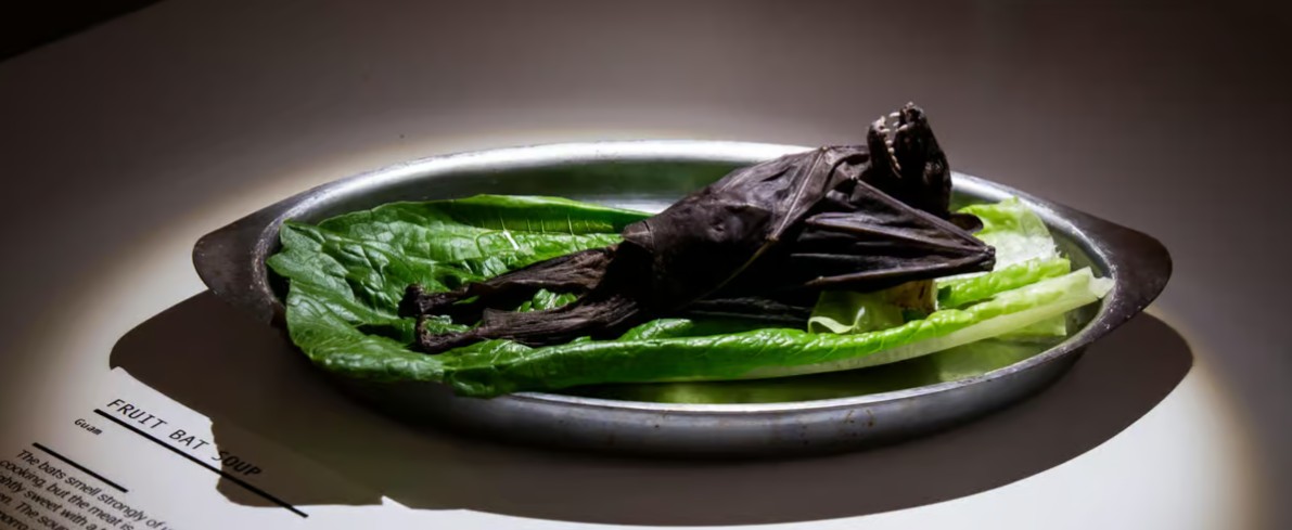 Disgusting food museum