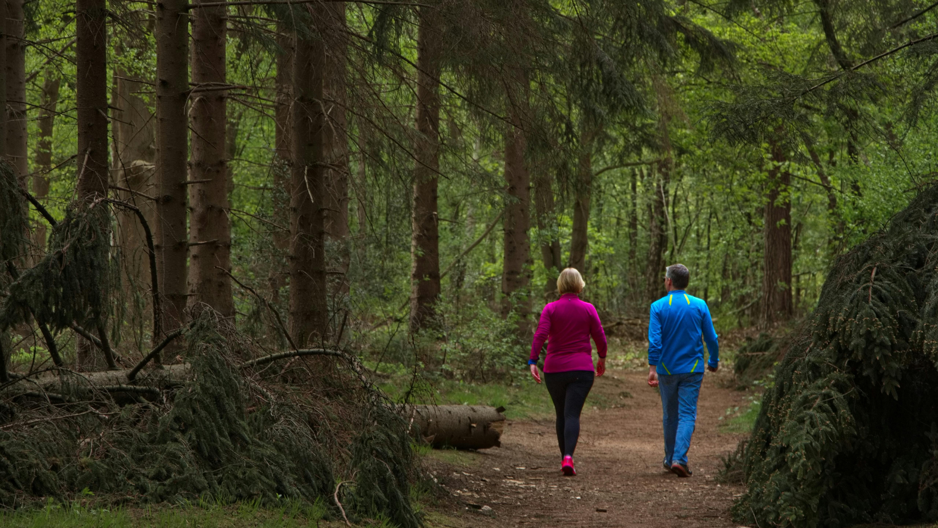 Naturweekend i Sverige – tips på event & inspiration