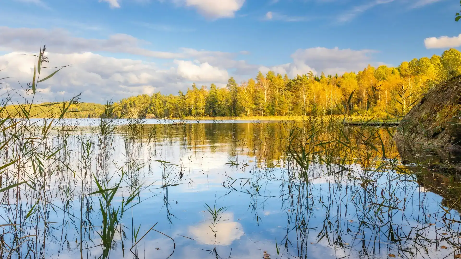 Sommar i Norrbotten – här är höjdpunkterna du inte får missa