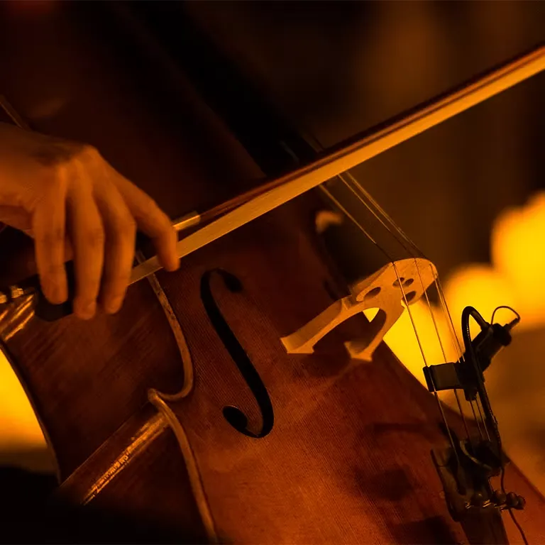 Candlelight Disney Love Songs