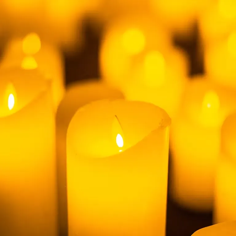 Candlelight Hyllning till Michael Jackson3